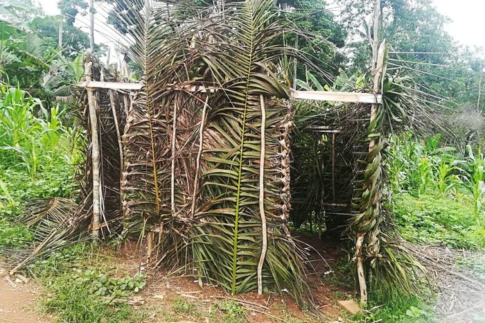Kailahun_vorher_2