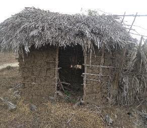 Katsangani