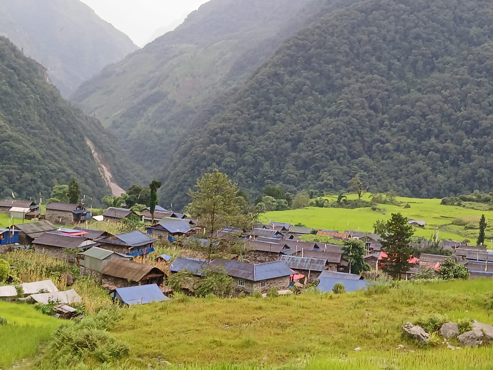 Nayabasti