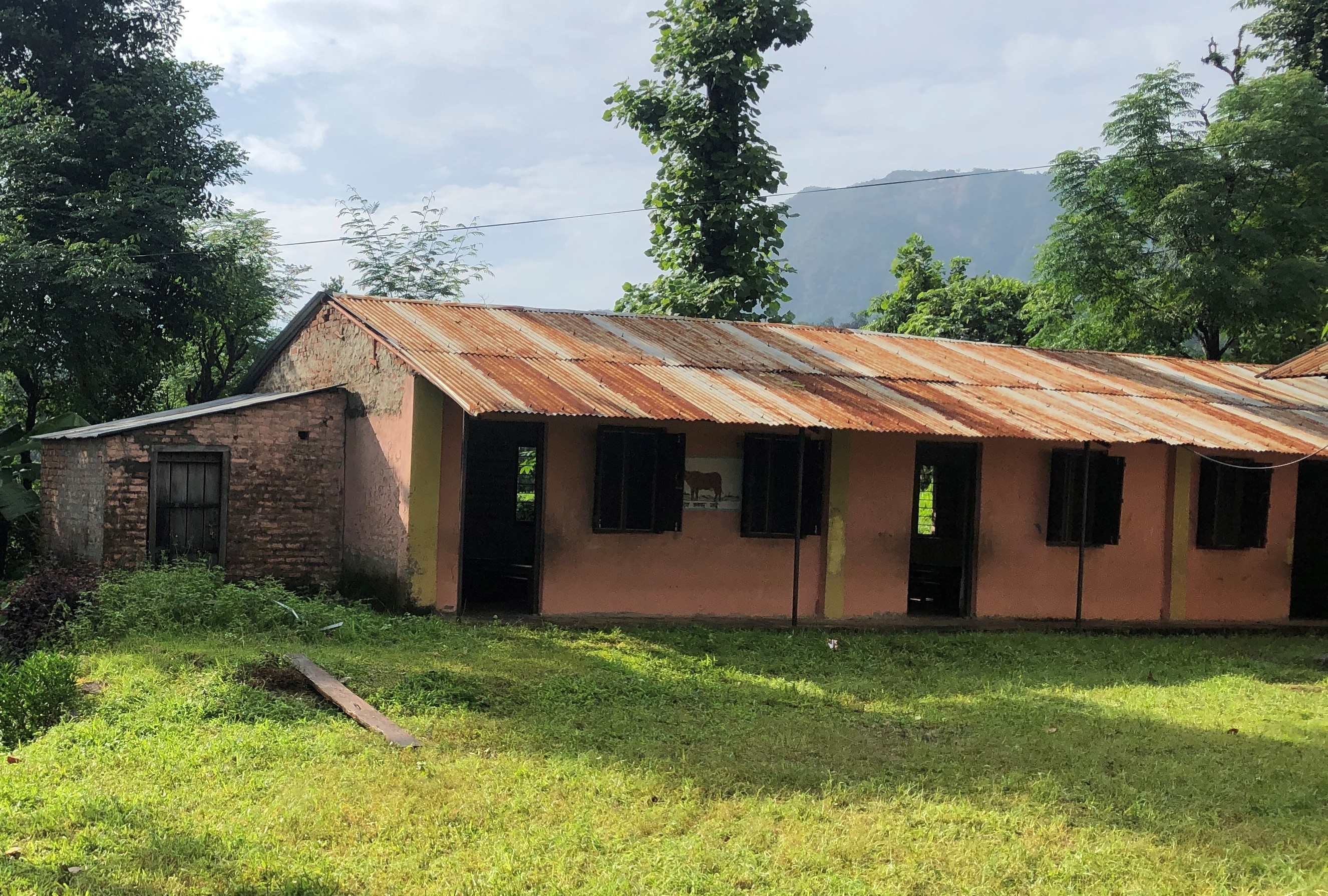 Syangdi