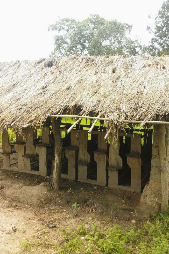 Katchalikadi