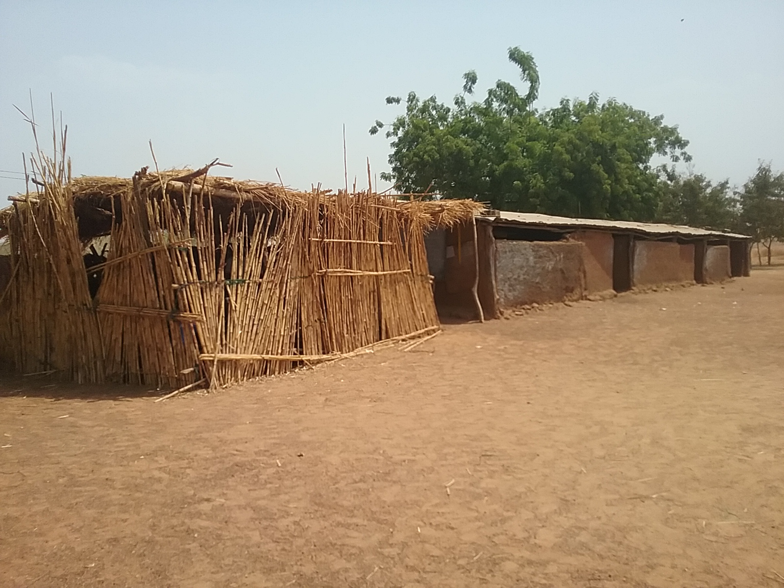 Mabolé