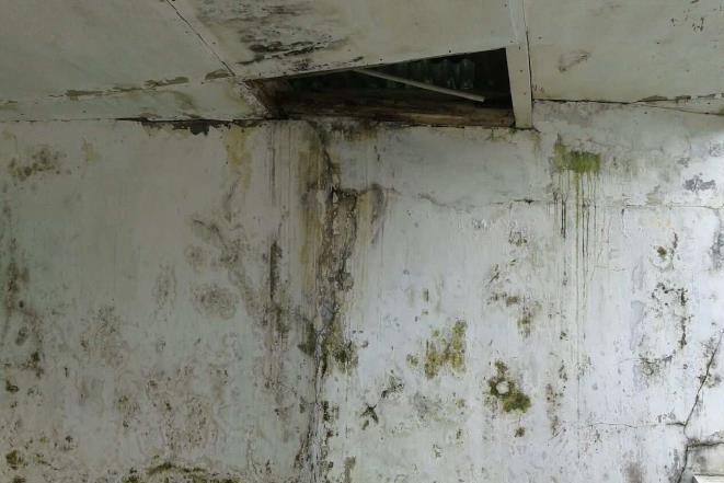 Purwokerto_4
