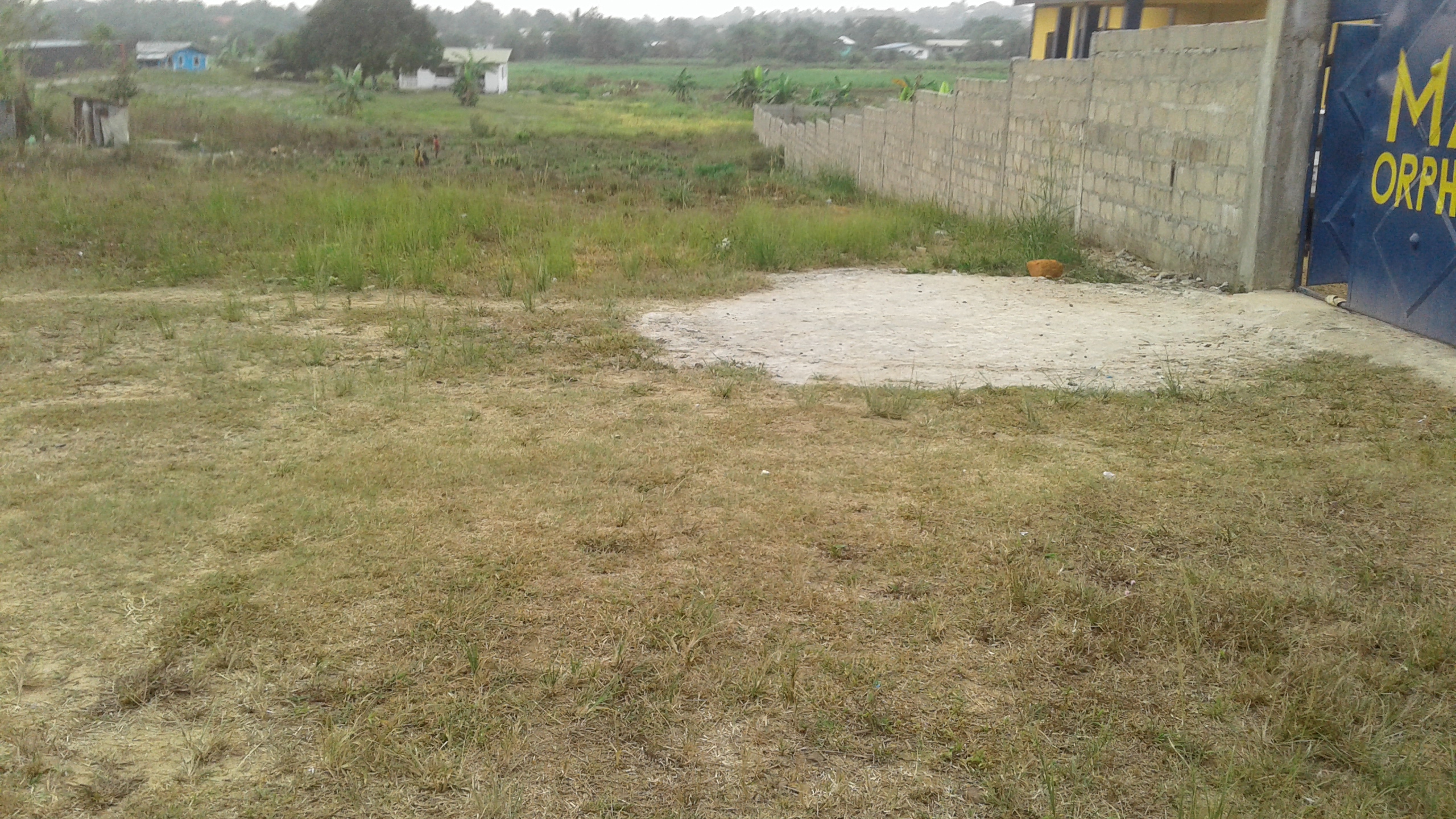 Zubah