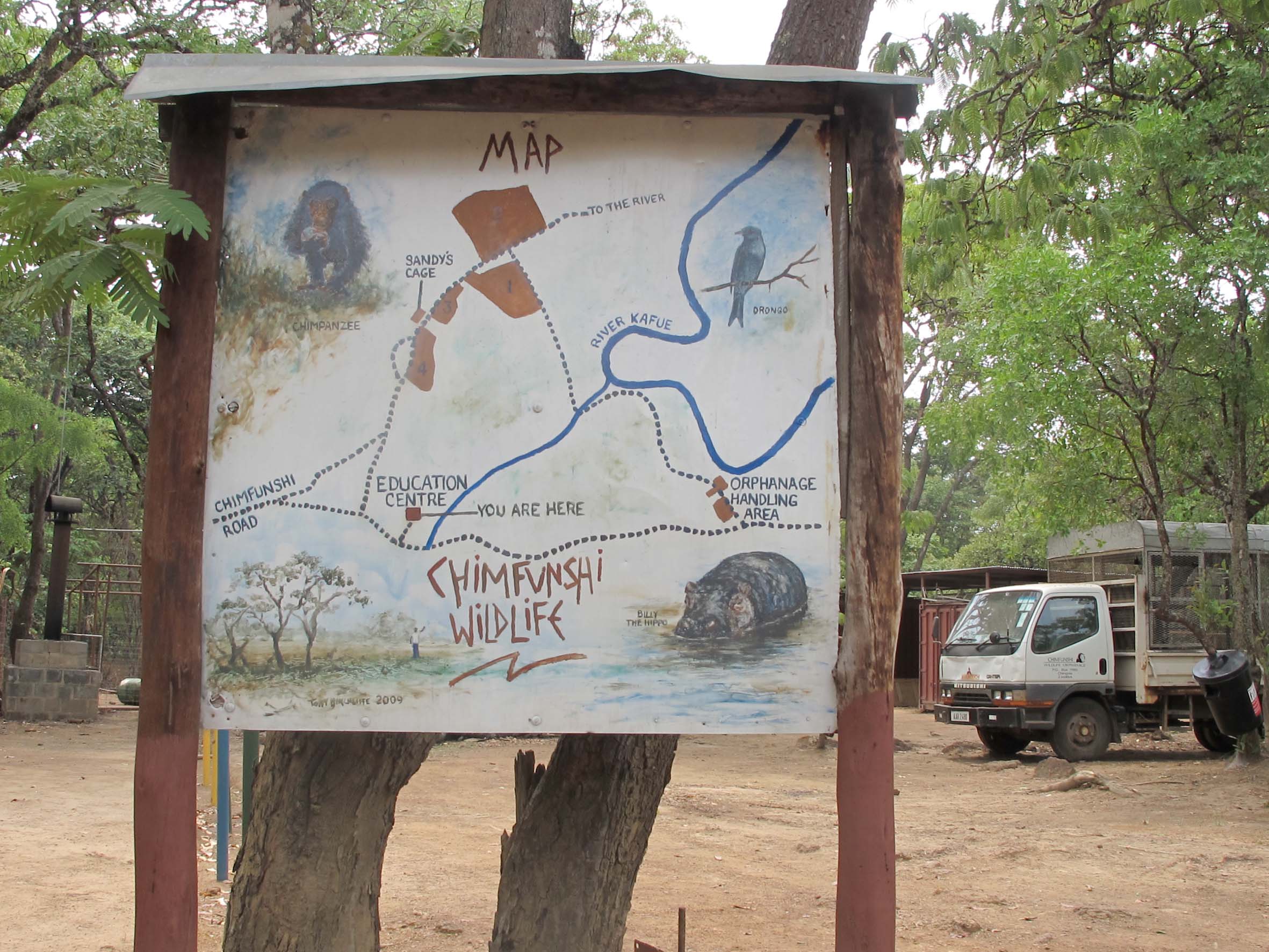 Chimfunshi Wildlife Orphanage Muchinshi