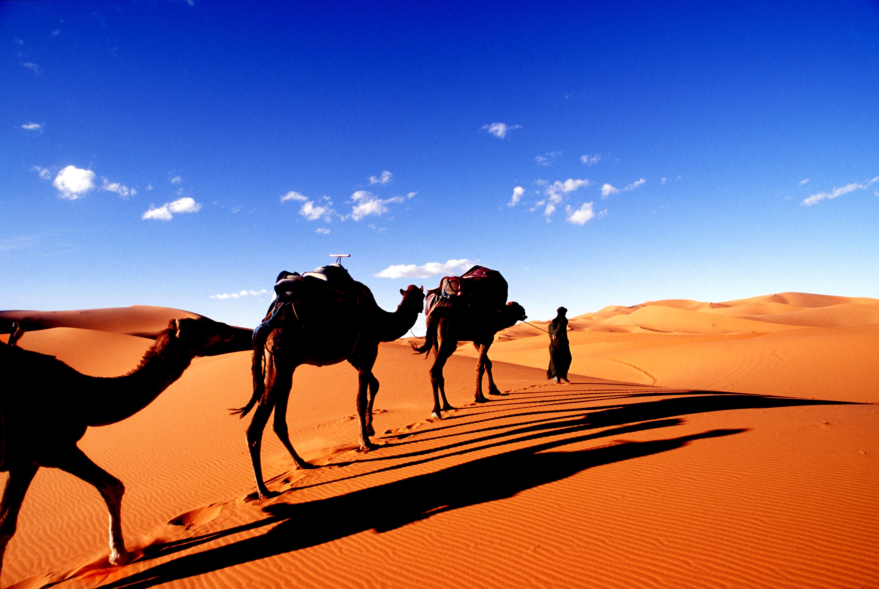 Ein bisschen Afrika in Westerburg