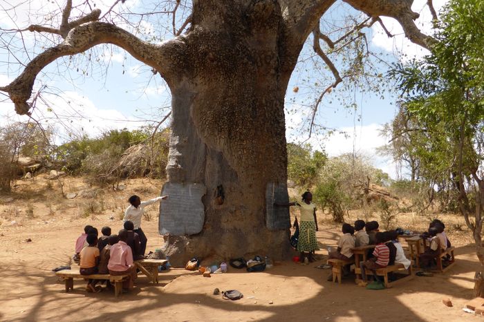 Syangwa_2