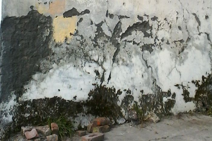 Dalhousie