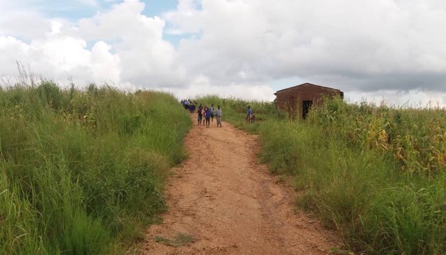 Ntambo