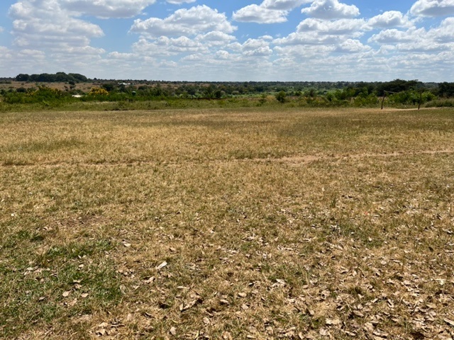 Mzungu
